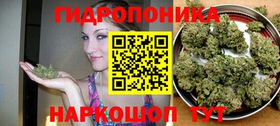 прущая мука Тара