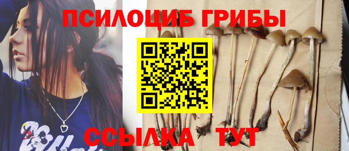 купить наркотик  Псилоцибиновые грибы ЛСД  Вход с VPN  Шатура 